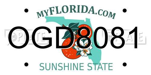 OGD8081 Florida License Plate