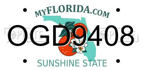 OGD9408 Florida License Plate