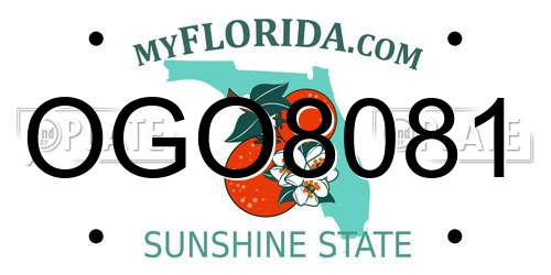 OGO8081 Florida License Plate
