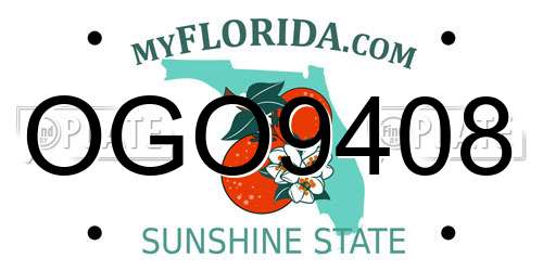 OGO9408 Florida License Plate