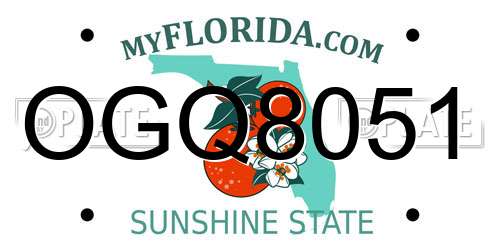 OGQ8051 Florida License Plate