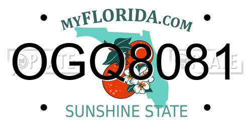 OGQ8081 Florida License Plate