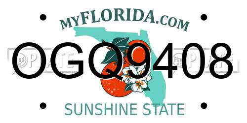 OGQ9408 Florida License Plate