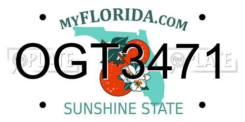 OGT3471 Florida License Plate