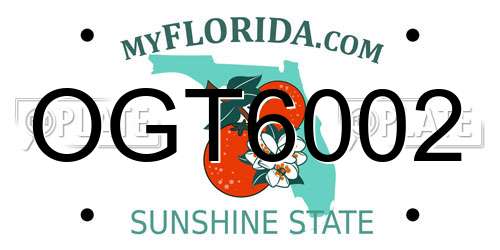 OGT6002 Florida License Plate