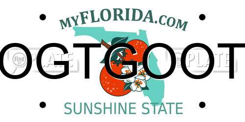 OGTGOOT Florida License Plate