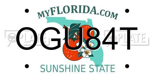 OGU84T Florida License Plate
