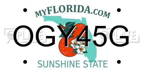 OGY45G Florida License Plate