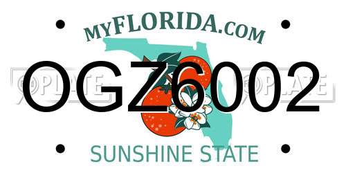 OGZ6002 Florida License Plate