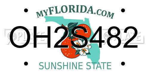 OH2S482 Florida License Plate