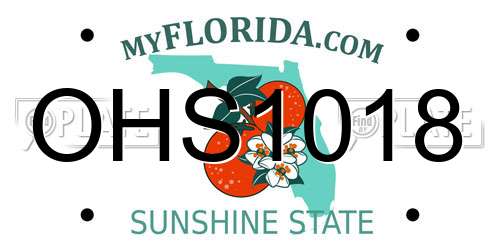 OHS1018 Florida License Plate