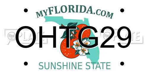 OHTG29 Florida License Plate