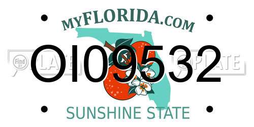 OI09532 Florida License Plate