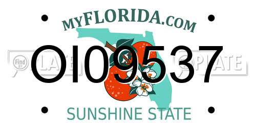 OI09537 Florida License Plate
