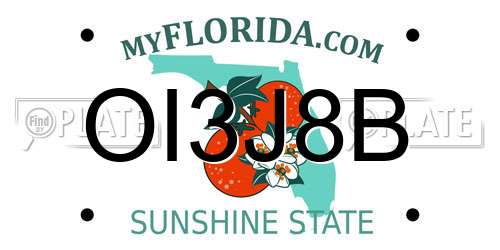 OI3J8B Florida License Plate