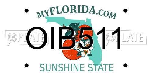 OIB511 Florida License Plate