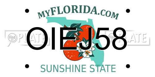 OIEJ58 Florida License Plate