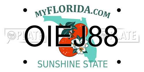 OIEJ88 Florida License Plate
