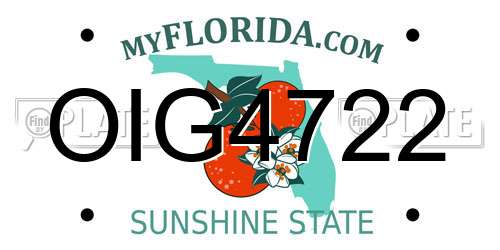 OIG4722 Florida License Plate