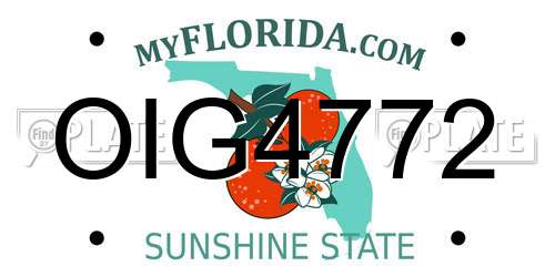 OIG4772 Florida License Plate