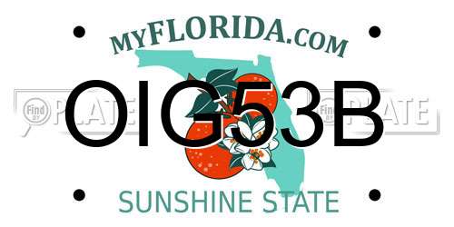 OIG53B Florida License Plate