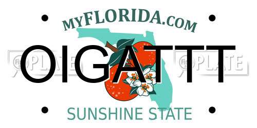 OIGATTT Florida License Plate