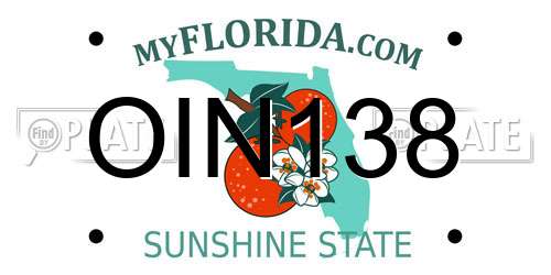 OIN138 Florida License Plate