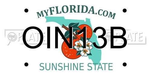 OIN13B Florida License Plate