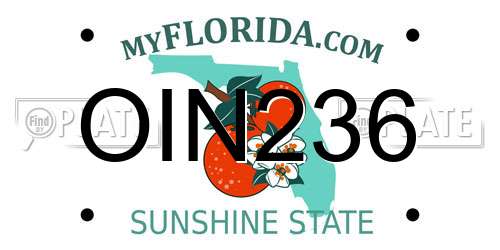 OIN236 Florida License Plate
