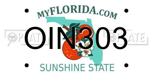 OIN303 Florida License Plate