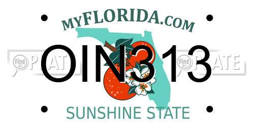 OIN313 Florida License Plate