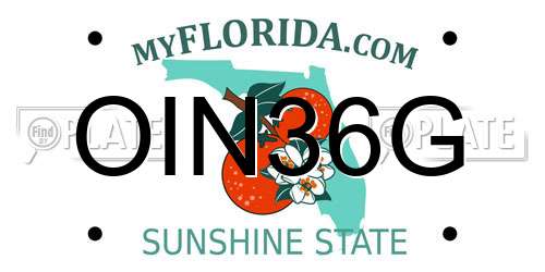 OIN36G Florida License Plate