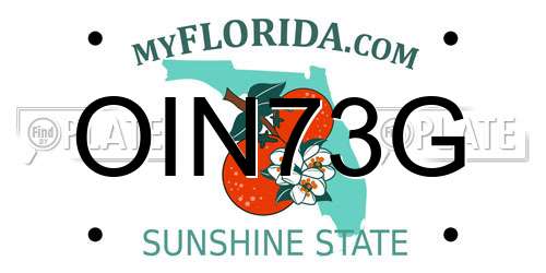 OIN73G Florida License Plate