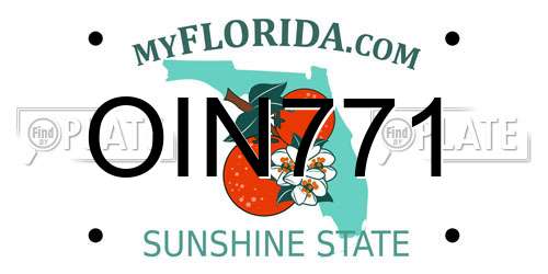 OIN771 Florida License Plate