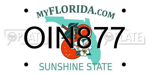 OIN877 Florida License Plate