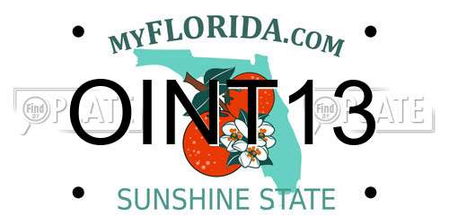 OINT13 Florida License Plate