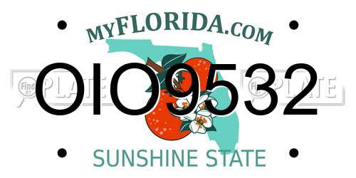 OIO9532 Florida License Plate