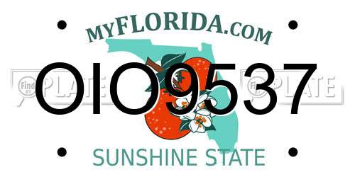 OIO9537 Florida License Plate