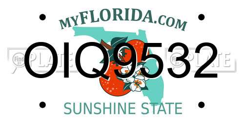 OIQ9532 Florida License Plate