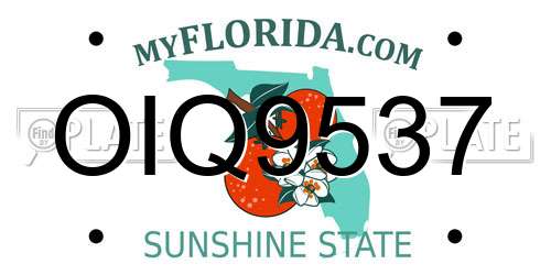 OIQ9537 Florida License Plate