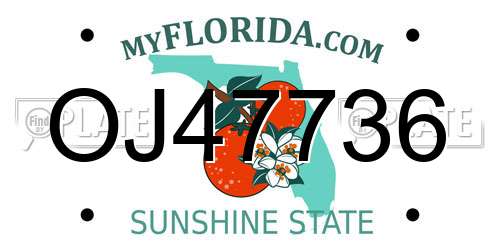 OJ47736 Florida License Plate