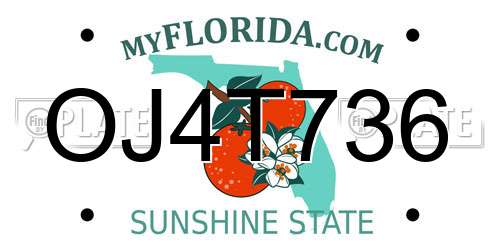 OJ4T736 Florida License Plate