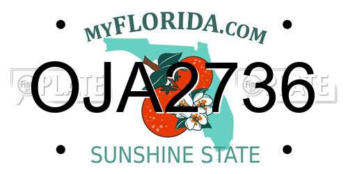 OJA2736 Florida License Plate