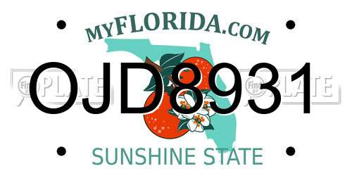 OJD8931 Florida License Plate