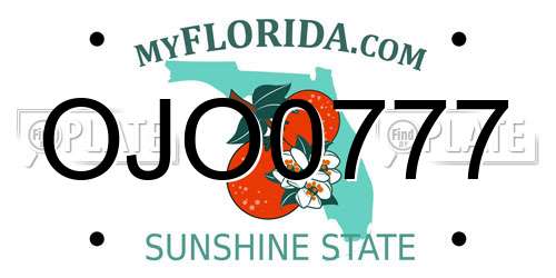 OJO0777 Florida License Plate