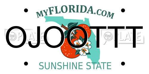 OJOOTTT Florida License Plate