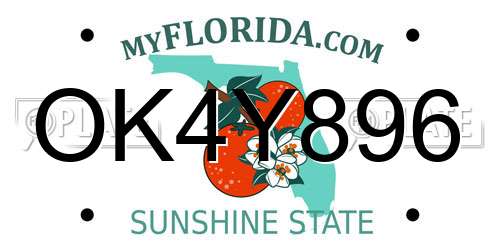 OK4Y896 Florida License Plate