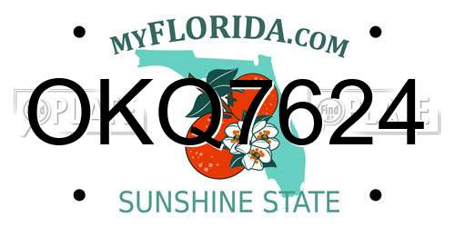 OKQ7624 Florida License Plate