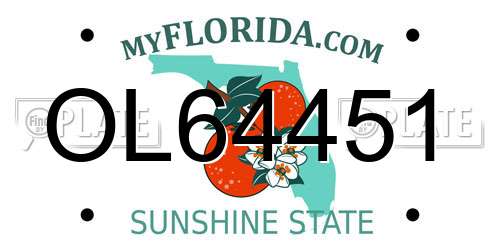 OL64451 Florida License Plate