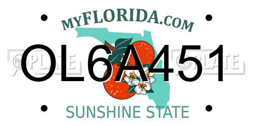 OL6A451 Florida License Plate
